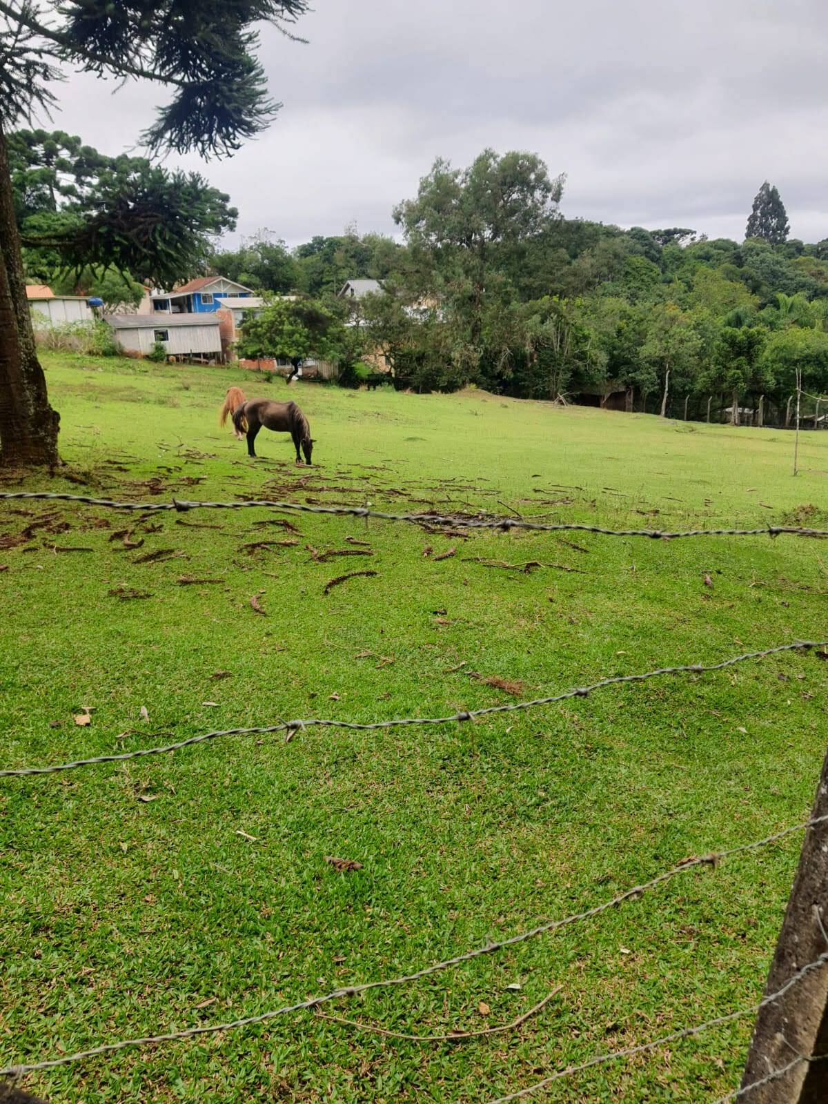 #553 - Área para Venda em Almirante Tamandaré - PR