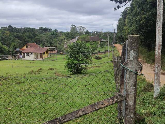 #553 - Área para Venda em Almirante Tamandaré - PR - 3