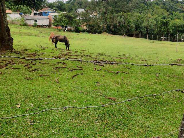 #553 - Área para Venda em Almirante Tamandaré - PR